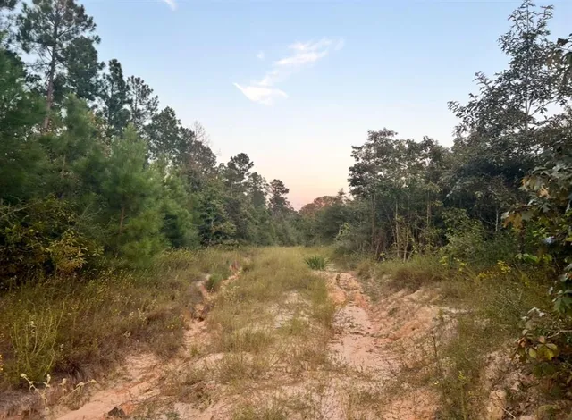 $399,900 | 0 Paul McMillian Road, Merryville, LA 70653