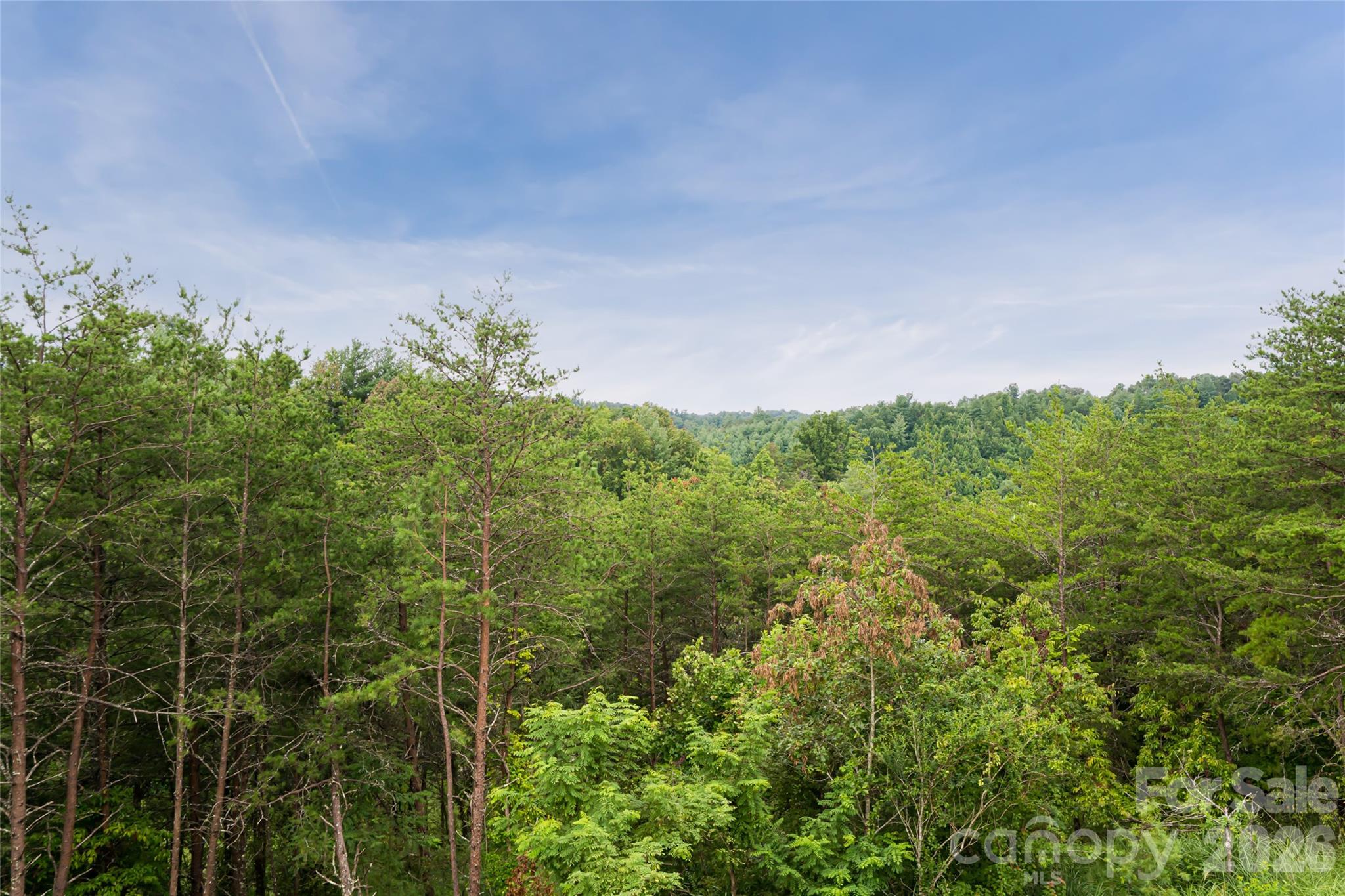 181 Flint Morgan Road Mars Hill, NC 28754 - Photo 21 of 44 Gallery Image 21