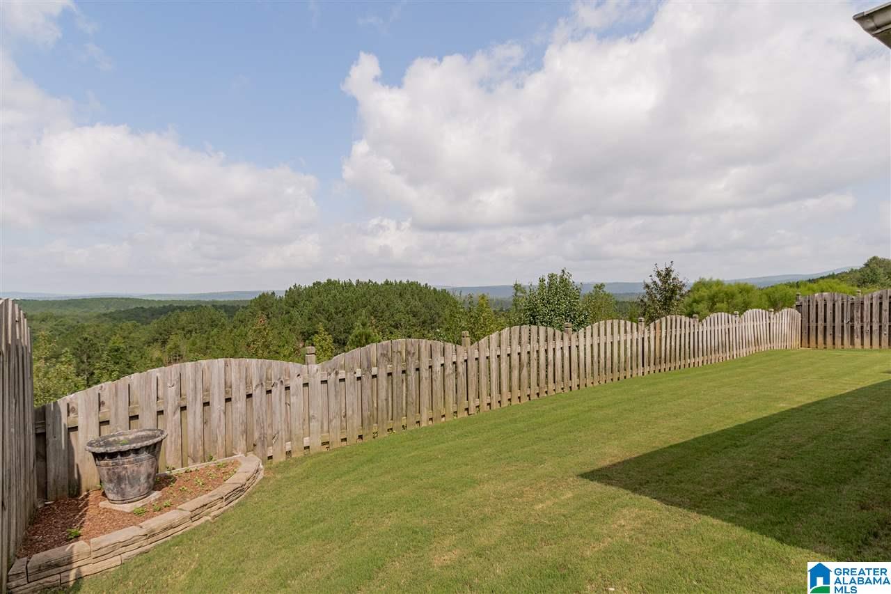 3071 Chelsea Park Ridge Chelsea, AL 35043 - Photo 43 of 45