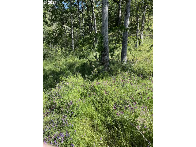 $279,000 | Coyote Court, Unit 47, Mosier, OR 97040