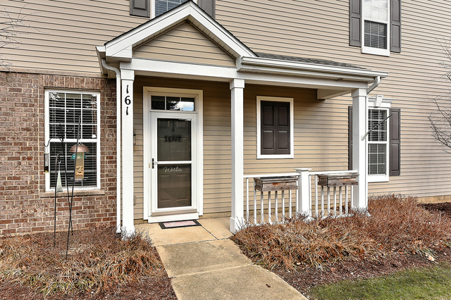 161 Springbrook Trail South Oswego, IL 60543 - Photo 3 of 18