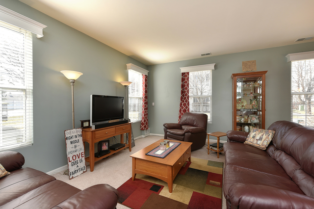 161 Springbrook Trail South Oswego, IL 60543 - Photo 4 of 18