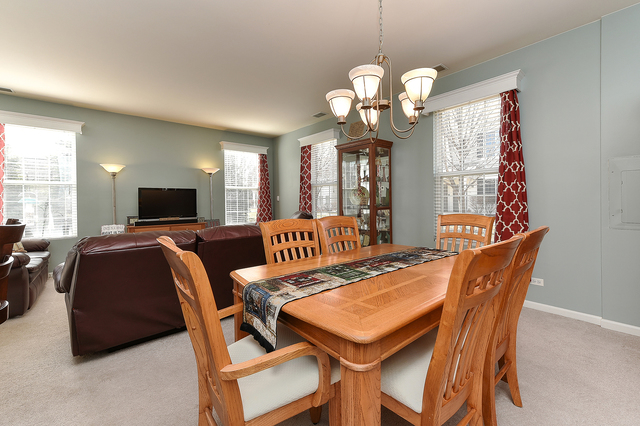 161 Springbrook Trail South Oswego, IL 60543 - Photo 7 of 18