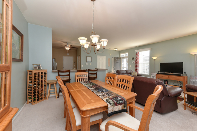 161 Springbrook Trail South Oswego, IL 60543 - Photo 8 of 18