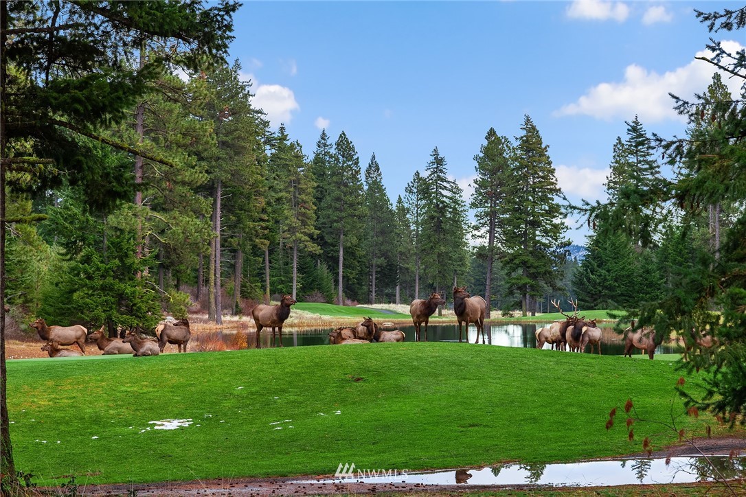 150 Rinky Dink Lane Ronald, WA 98940 - Photo 35 of 36