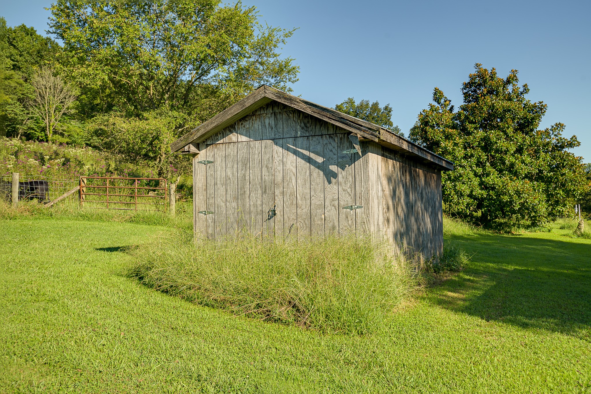 402 Oakley Hollow Road Alexandria, TN 37012 - Photo 22 of 29 a backyard of a house with plants and large trees