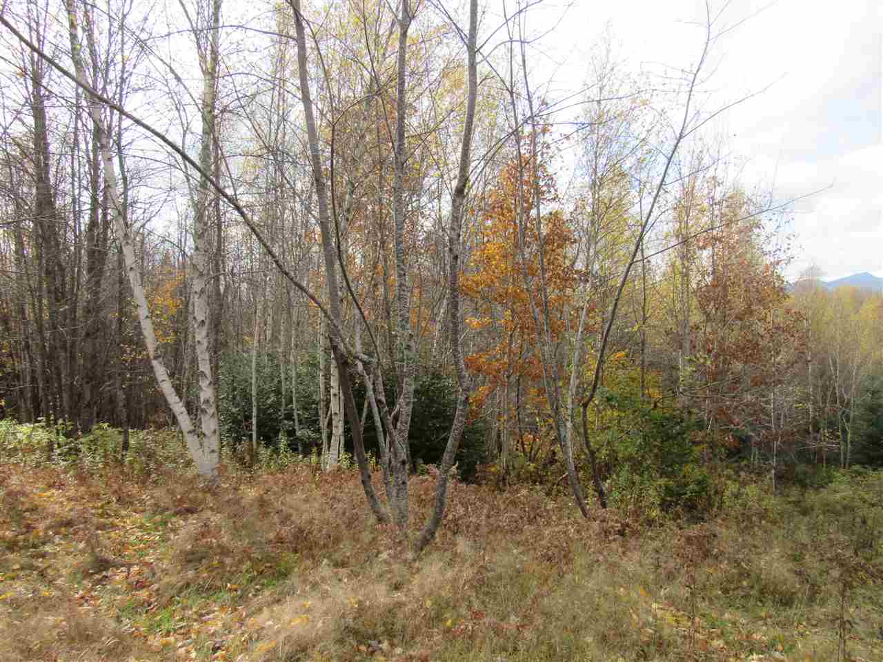 647 Routhier Road Troy, VT 05857 - Photo 3 of 11 Gallery Image 3