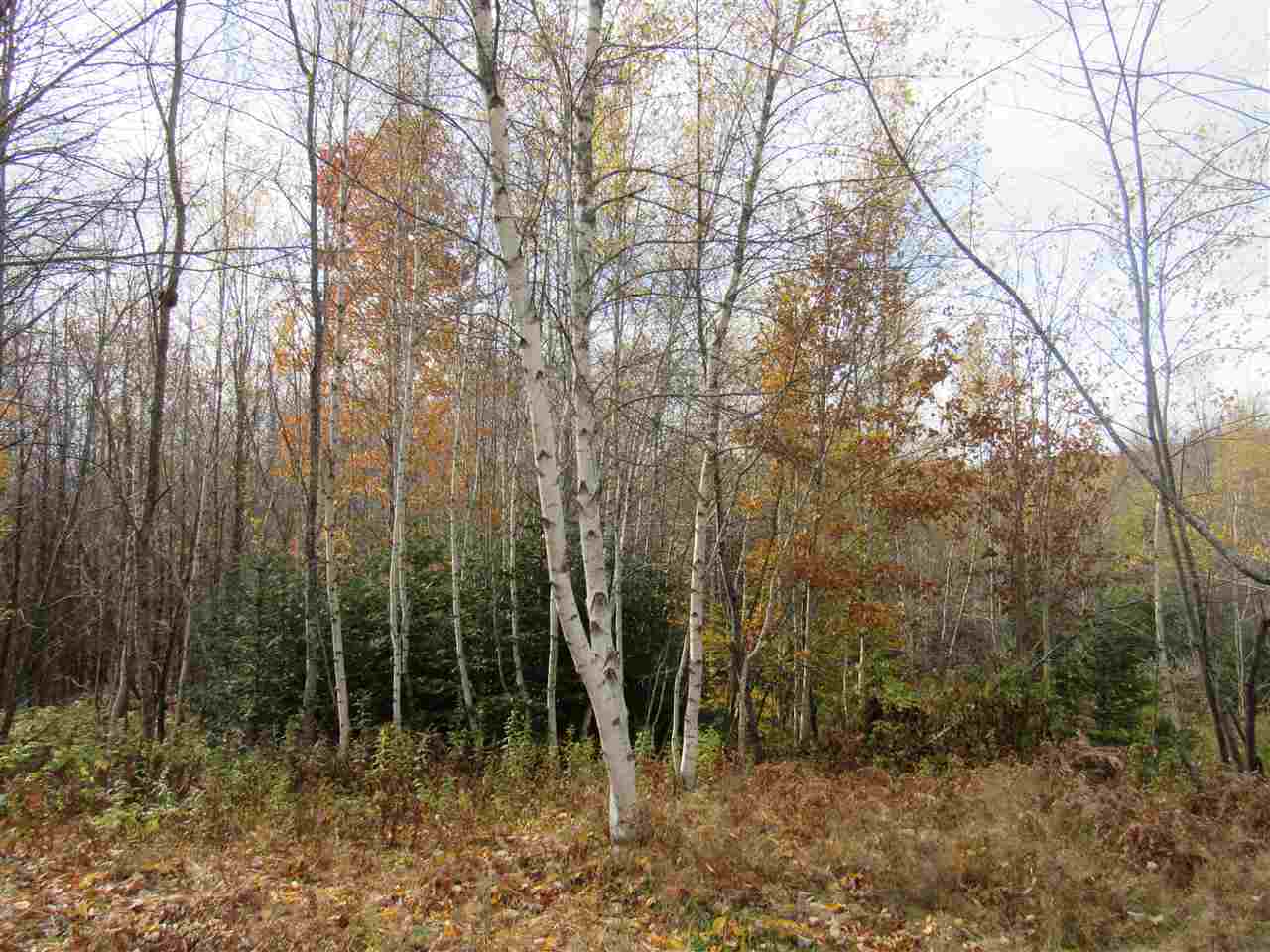 647 Routhier Road Troy, VT 05857 - Photo 4 of 11 Gallery Image 4