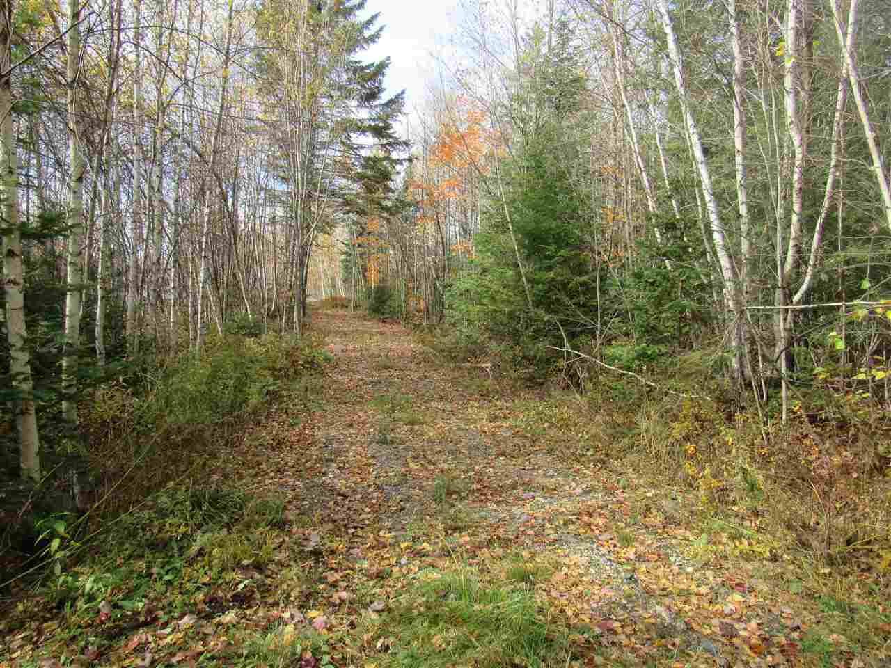 647 Routhier Road Troy, VT 05857 - Photo 10 of 11 Gallery Image 10
