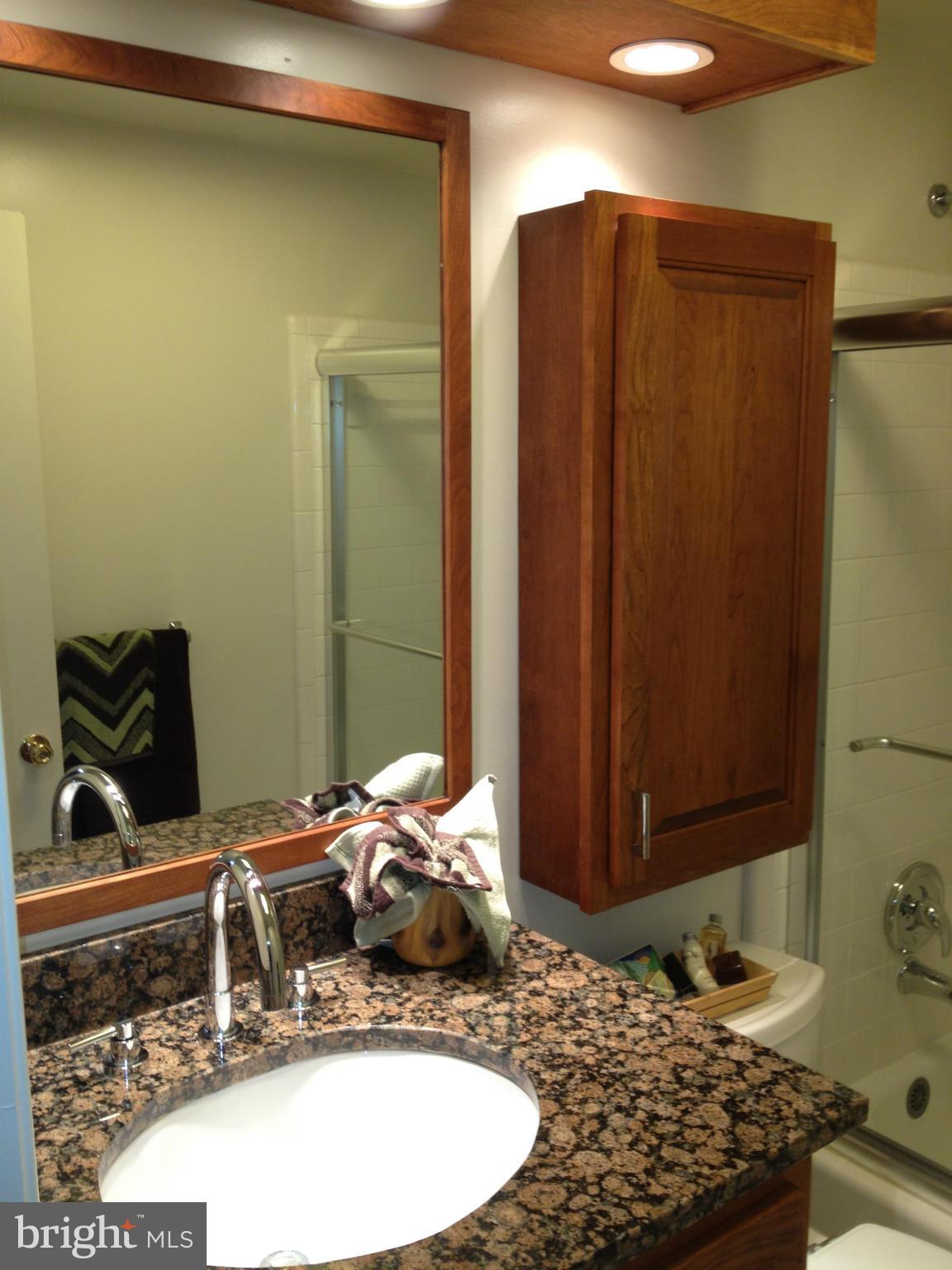 1837 Batten Hollow Road Vienna, VA 22182 - Photo 14 of 22 Bath