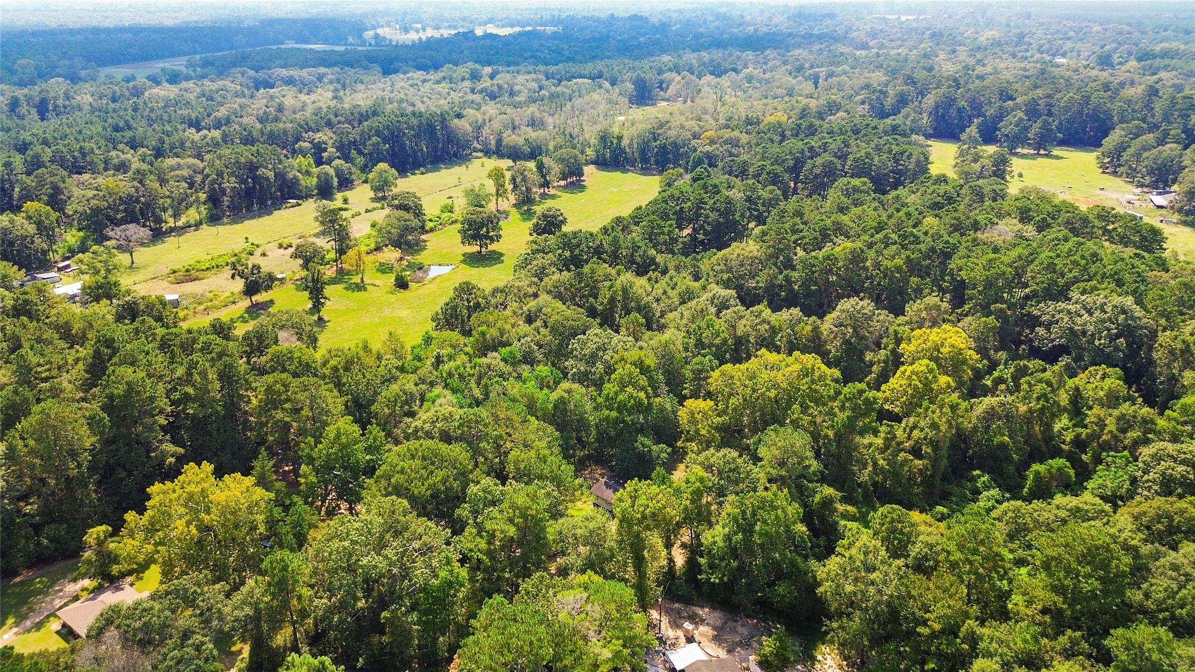 2192 County Road 2192 Cleveland, TX 77327 - Photo 3 of 7 a view of a forest with a lake