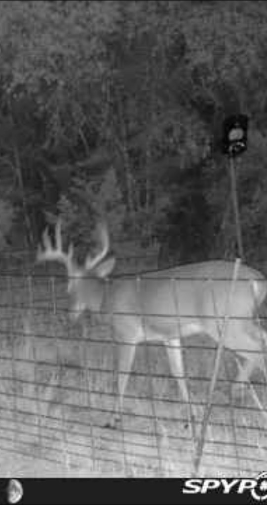 180 Bee Hive Road Hunt, TX 78024 - Photo 3 of 60 a bathroom with a shower