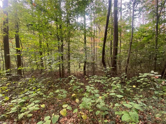 $51,000 | 0 Bear Hollow Lane, North Wilkesboro, NC 28659