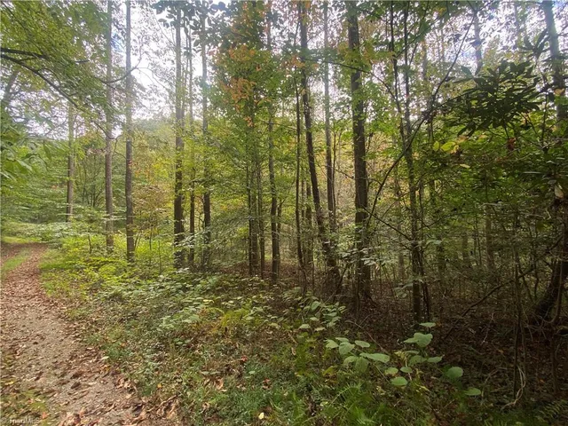 $51,000 | 0 Bear Hollow Lane, North Wilkesboro, NC 28659
