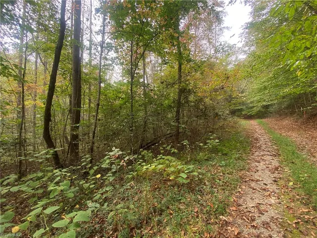 $51,000 | 0 Bear Hollow Lane, North Wilkesboro, NC 28659