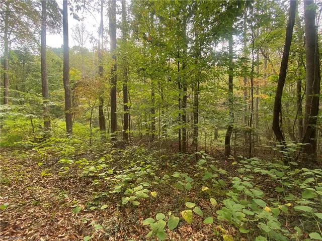 $51,000 | 0 Bear Hollow Lane, North Wilkesboro, NC 28659