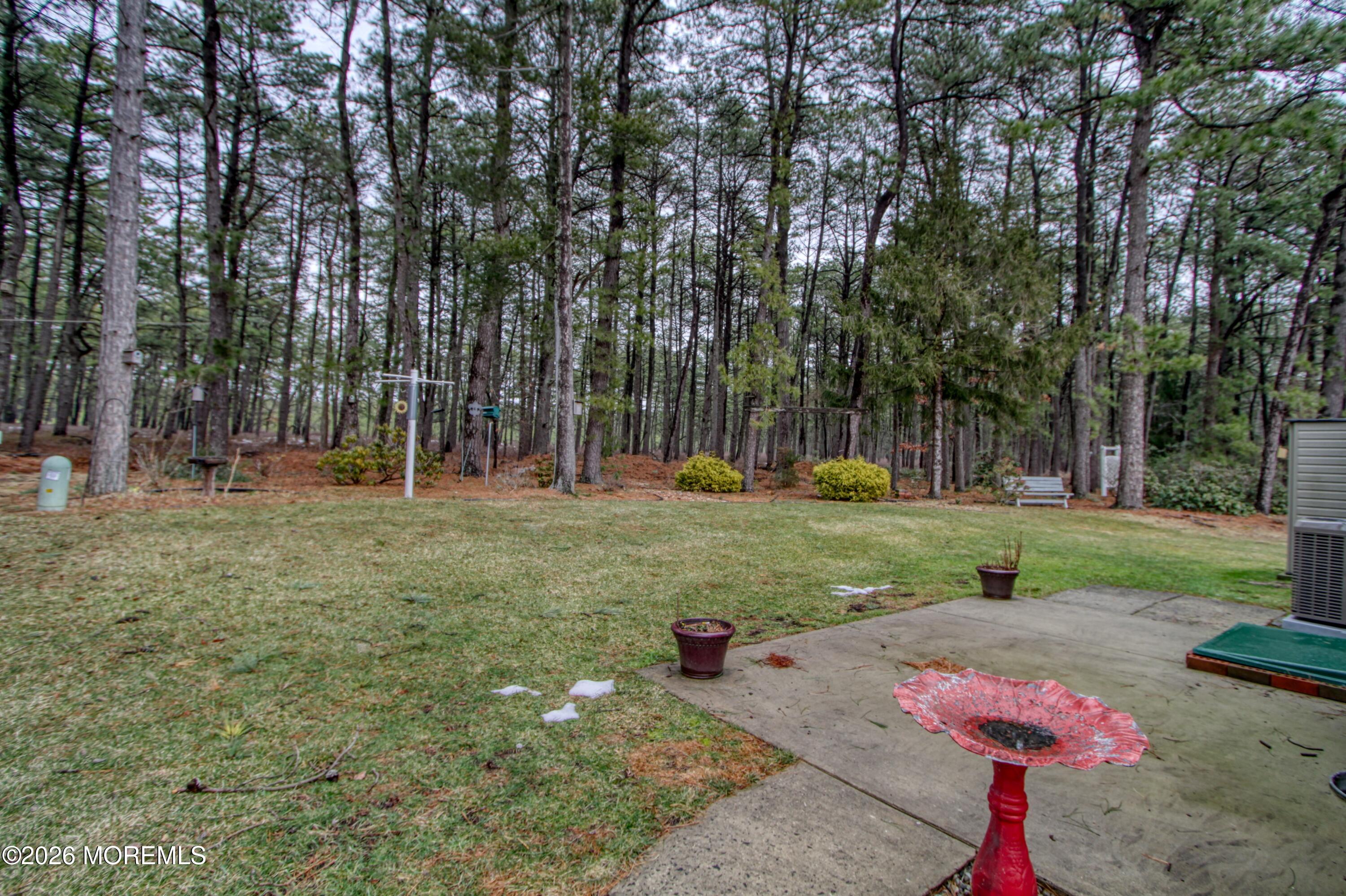 111 Sunset Road, Unit 60 Whiting, NJ 08759 - Photo 20 of 23 Back Yard 111 Sunset Rd