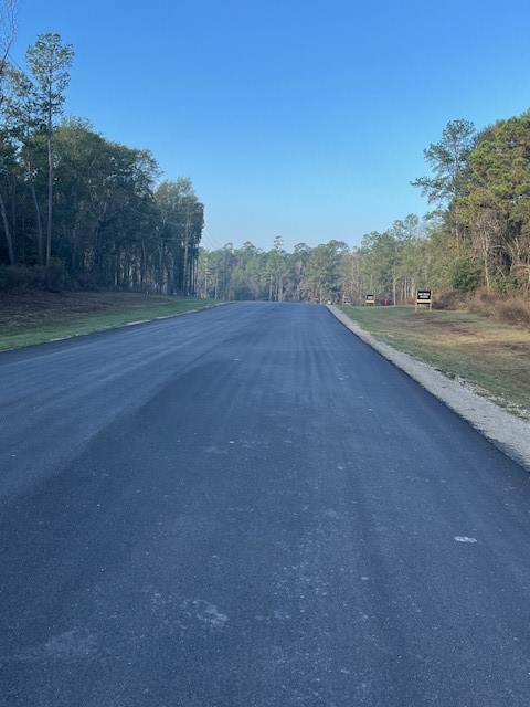 157 Rustic Ranch Drive New Waverly, TX 77358 - Photo 3 of 15 a view of a field with trees in background