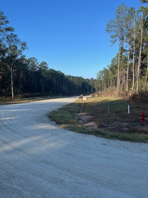 157 Rustic Ranch Drive New Waverly, TX 77358 - Photo 5 of 15 a backyard of a house