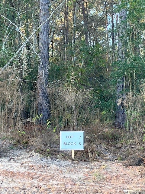 157 Rustic Ranch Drive New Waverly, TX 77358 - Photo 6 of 15 a view of a park with large trees