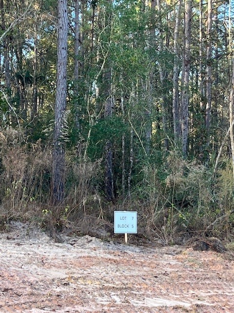 157 Rustic Ranch Drive New Waverly, TX 77358 - Photo 8 of 15 a wooden fence with trees in the background