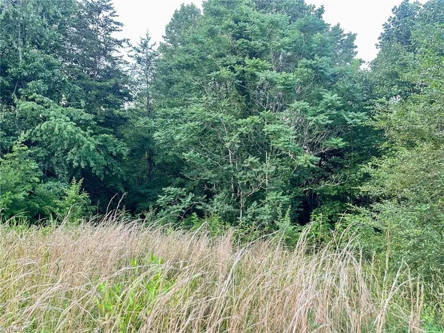 $37,000 | 3.9-ac Pell Road, Westfield, NC 27053