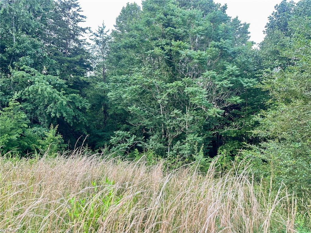 3.9-ac Pell Road Westfield, NC 27053 - Photo 14 of 47 Gallery Image 14
