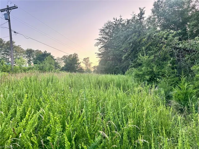 $37,000 | 3.9-ac Pell Road, Westfield, NC 27053