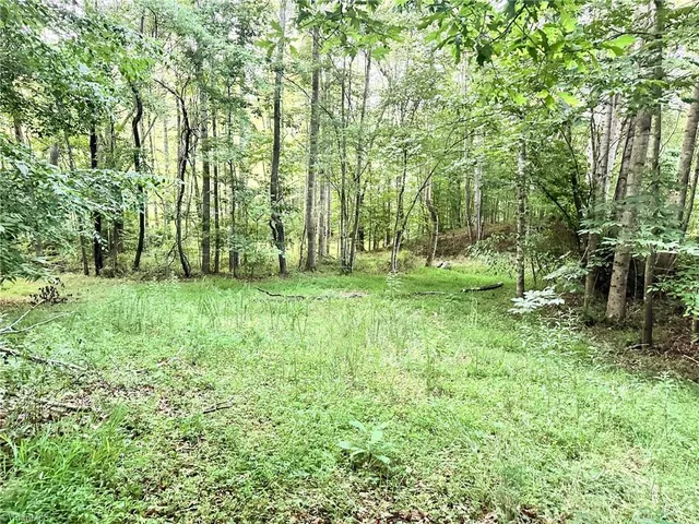 $37,000 | 3.9-ac Pell Road, Westfield, NC 27053
