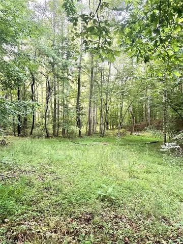 $37,000 | 3.9-ac Pell Road, Westfield, NC 27053