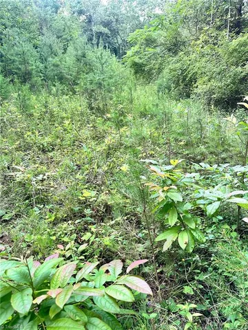 $37,000 | 3.9-ac Pell Road, Westfield, NC 27053