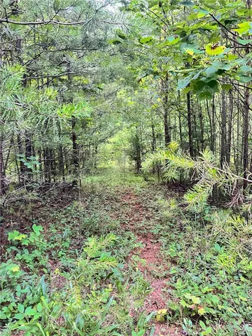 $37,000 | 3.9-ac Pell Road, Westfield, NC 27053