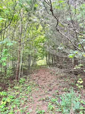 $37,000 | 3.9-ac Pell Road, Westfield, NC 27053