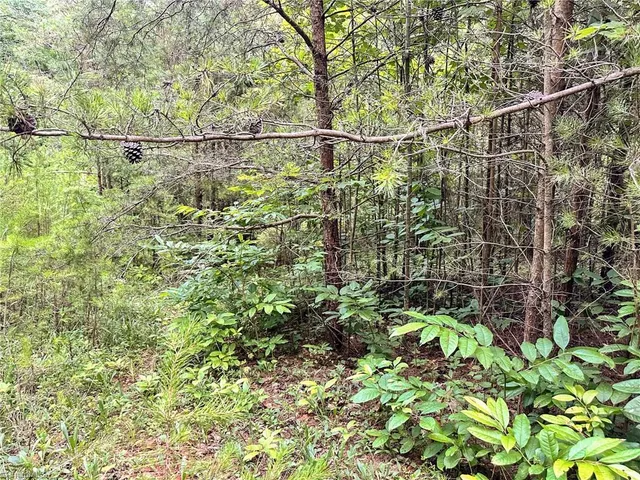 $37,000 | 3.9-ac Pell Road, Westfield, NC 27053