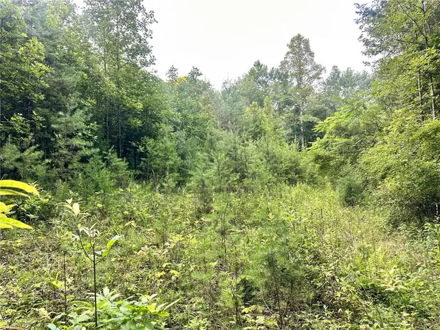 $37,000 | 3.9-ac Pell Road, Westfield, NC 27053
