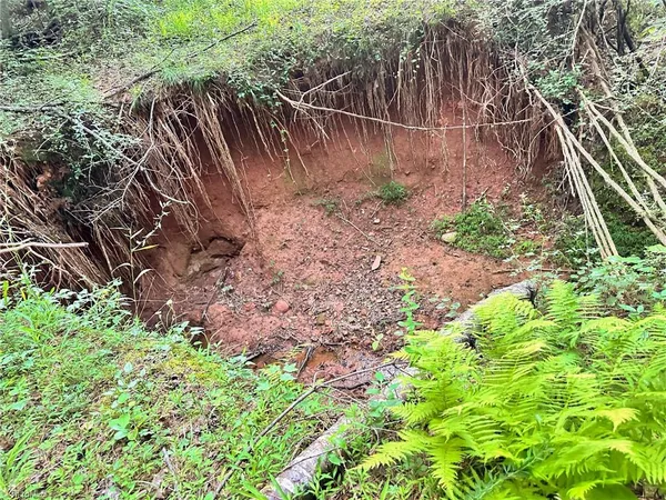 $37,000 | 3.9-ac Pell Road, Westfield, NC 27053