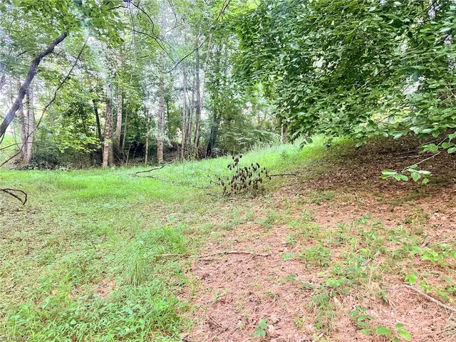 $37,000 | 3.9-ac Pell Road, Westfield, NC 27053