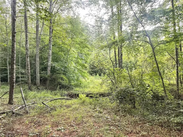 $37,000 | 3.9-ac Pell Road, Westfield, NC 27053