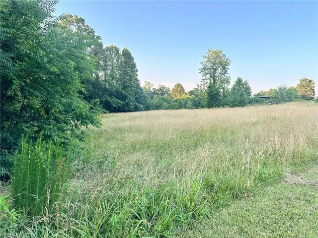 $37,000 | 3.9-ac Pell Road, Westfield, NC 27053