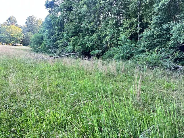 $37,000 | 3.9-ac Pell Road, Westfield, NC 27053