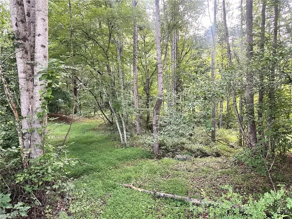 $37,000 | 3.9-ac Pell Road, Westfield, NC 27053