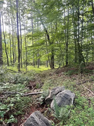 $37,000 | 3.9-ac Pell Road, Westfield, NC 27053