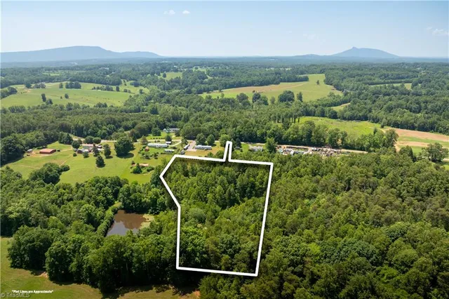 $37,000 | 3.9-ac Pell Road, Westfield, NC 27053