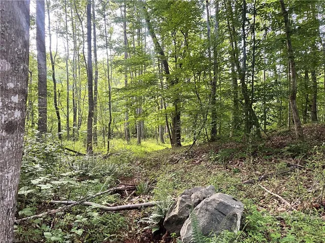 $37,000 | 3.9-ac Pell Road, Westfield, NC 27053