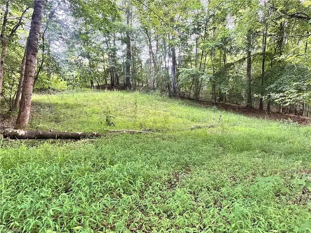 $37,000 | 3.9-ac Pell Road, Westfield, NC 27053
