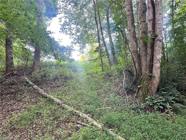 $37,000 | 3.9-ac Pell Road, Westfield, NC 27053