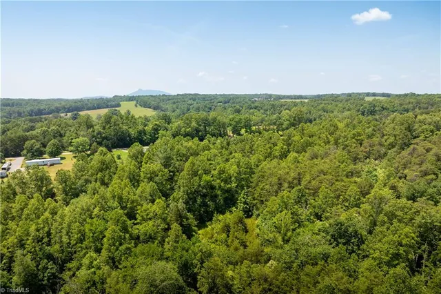 $37,000 | 3.9-ac Pell Road, Westfield, NC 27053