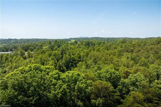 $37,000 | 3.9-ac Pell Road, Westfield, NC 27053