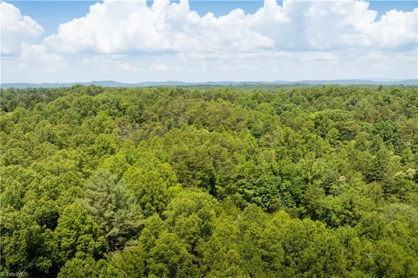 $37,000 | 3.9-ac Pell Road, Westfield, NC 27053