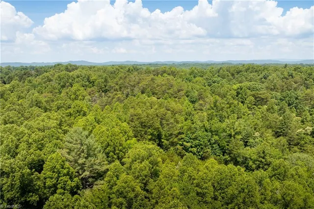 $37,000 | 3.9-ac Pell Road, Westfield, NC 27053